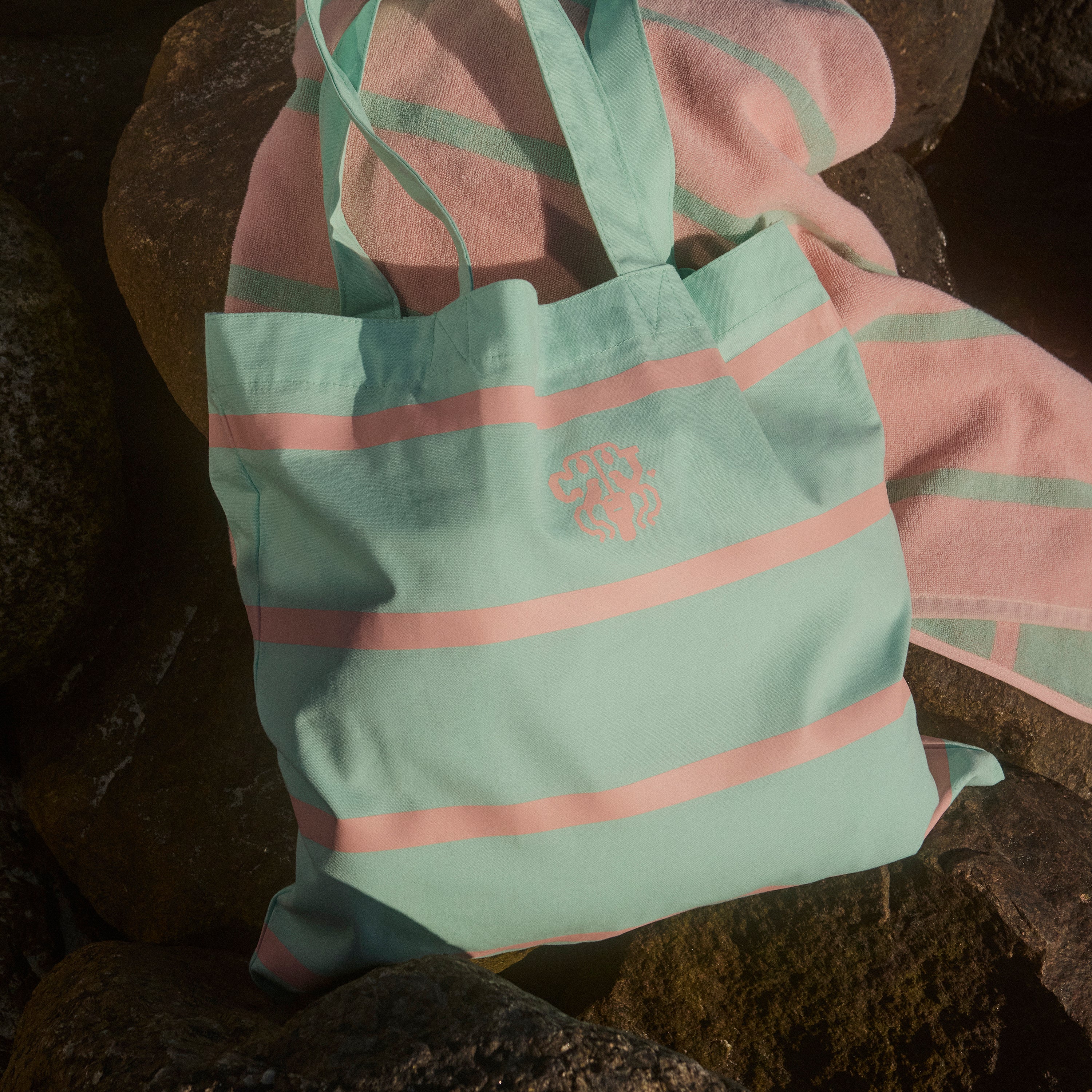 CANVAS TAS