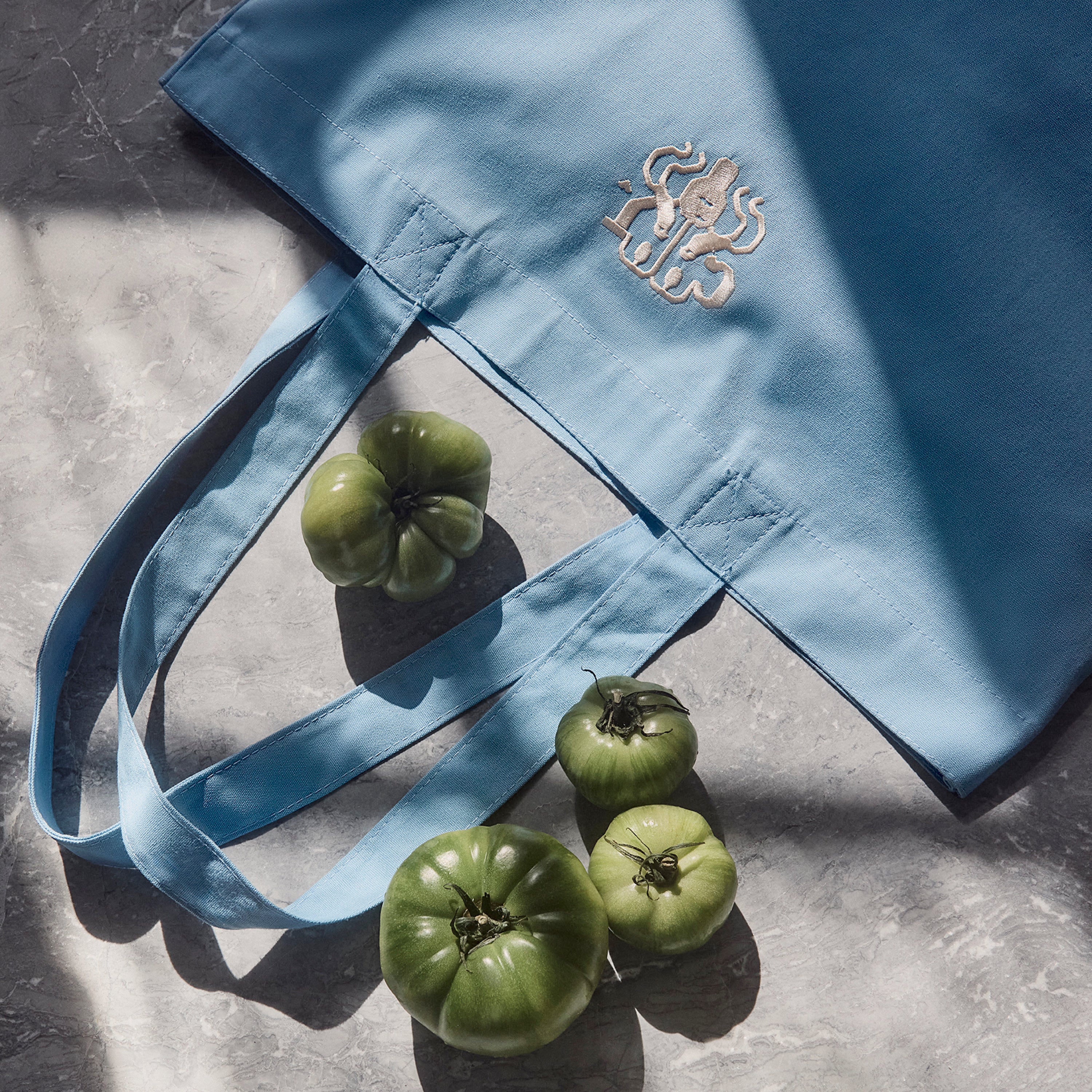 CANVAS TAS